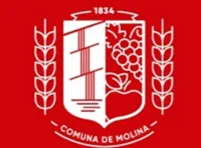 CLIENTE 13 MECANICA DE SUELOS ILUSTRE MUNICIPALIDAD DE MOLINA