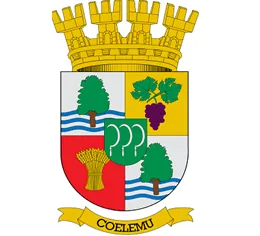 CLIENTE1 4 DE MECÁNICA DE SUELOS MUNICIPALIDAD DE COELEMU