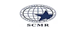 link 3 NACIONAL SOCIEDAD CHILENA DE MECANICA DE ROCAS
